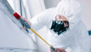 Best Real Estate Pest Inspections  in Dekal, IL